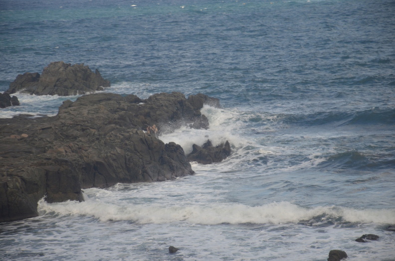 16-10-13 Hiro-GonoLine 0750 Ga1 1253