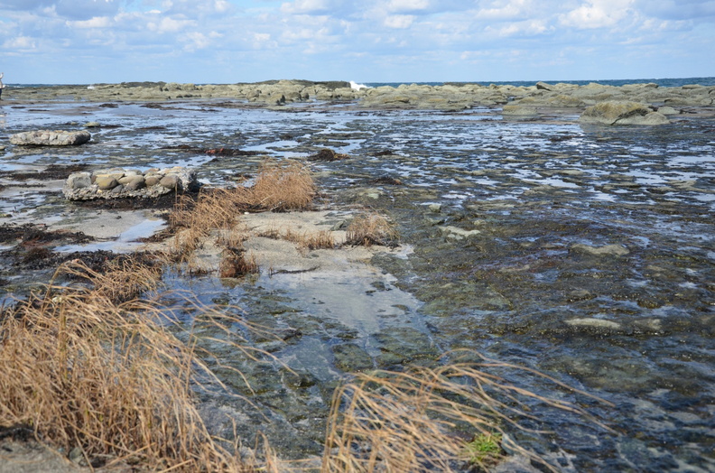 16-10-13 Hiro-GonoLine 0837 Ga1 1298