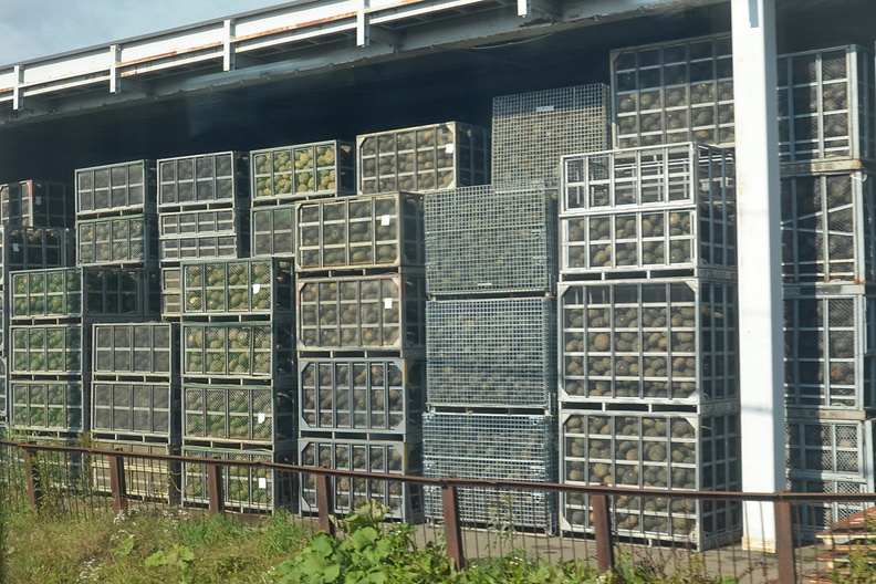 16-10-11 Aba-Wak 0022 Ga1 8299 pse